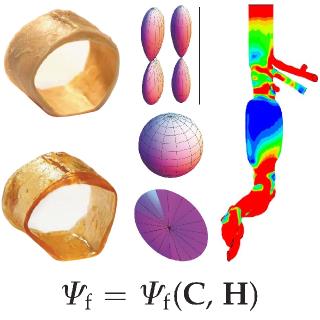 7th Summer School on BIOMECHANICS OF SOFT TISSUES: MULTISCALE MODELING, SIMULATION AND