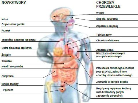 Statystyka Społeczne skutki palenia tytoniu: 60 tys. zgonów rocznie. Nałogowo pali - 32% Polaków w wieku 15 lat i więcej.