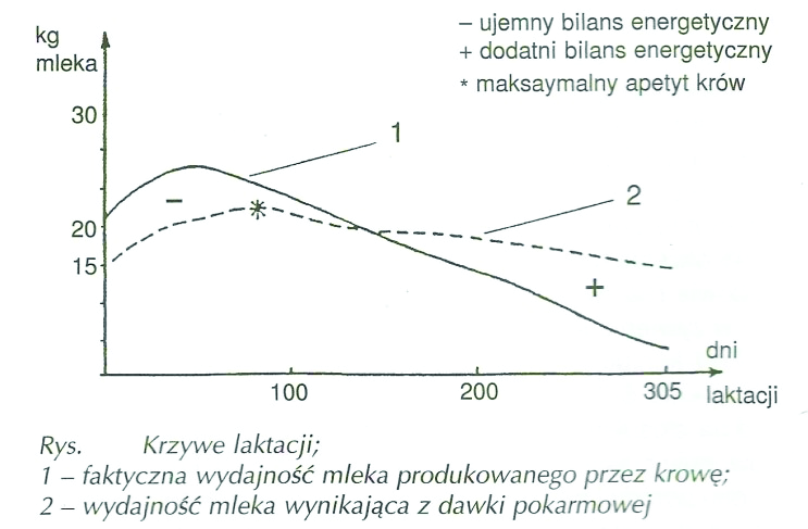 Zadanie 30. Rodzima rasa bydła nadająca się do użytkowania ekstensywnego szczególnie w gospodarstwach ekologicznych to Zadanie 31. A. charolaise. B. czarno-biała. C. czerwono-biała. D.