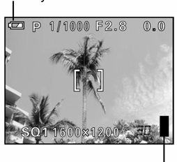 Skala pamięci Skala pamięci zapala się podczas wykonywania zdjęć. Gdy świeci się skala pamięci aparat zapisuje zdjęcia na kartę.