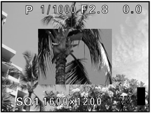 Pełna instrukcja obsługi aparatu Olympus CAMEDIA C-770 Ultra ZOOM 5 Naciśnij do końca przycisk migawki. Aparat wykona zdjęcie. Gdy zdjęcie jest zapisywane na karcie miga wskaźnik dostępu do karty.