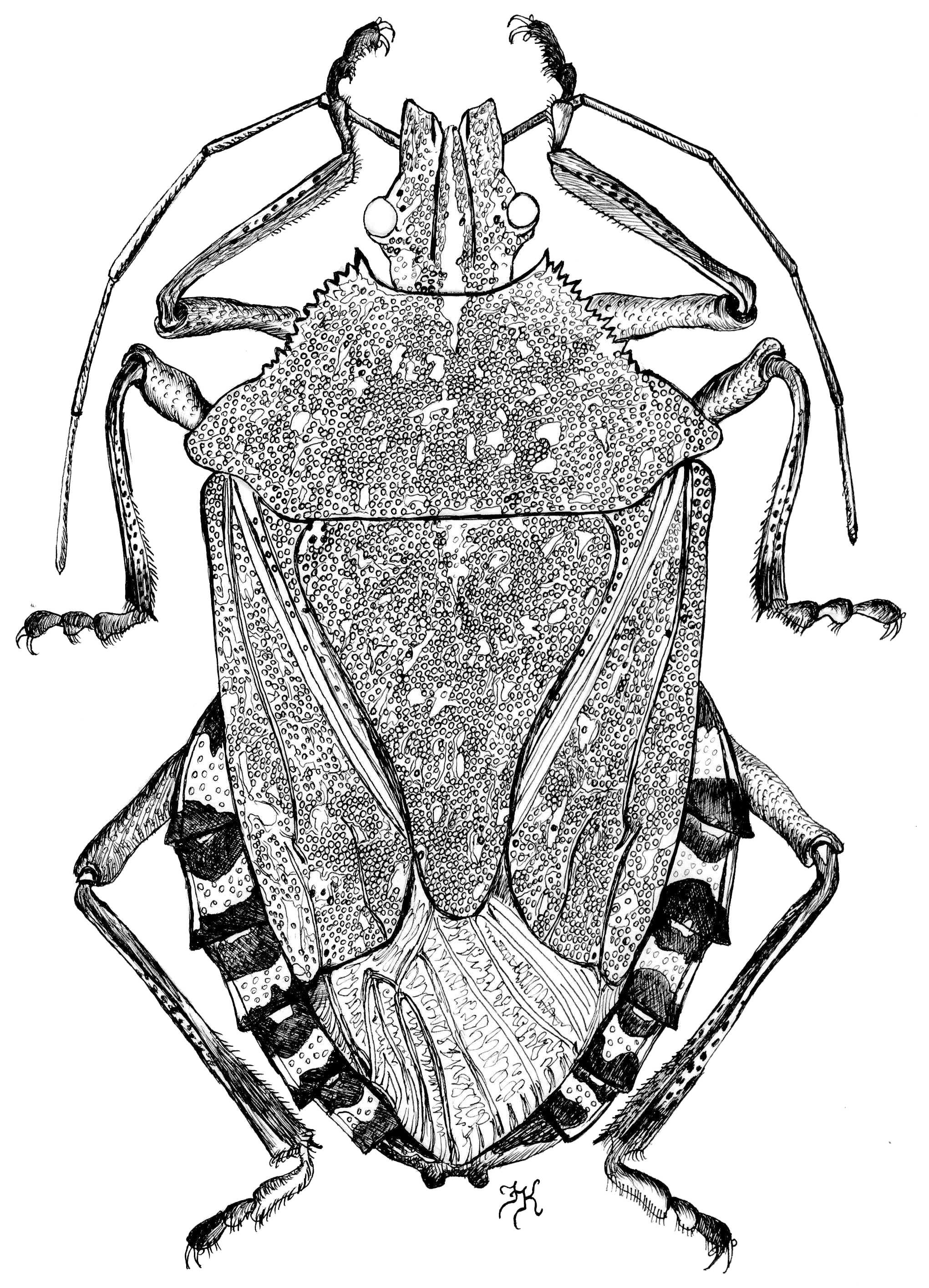 ys. 3.