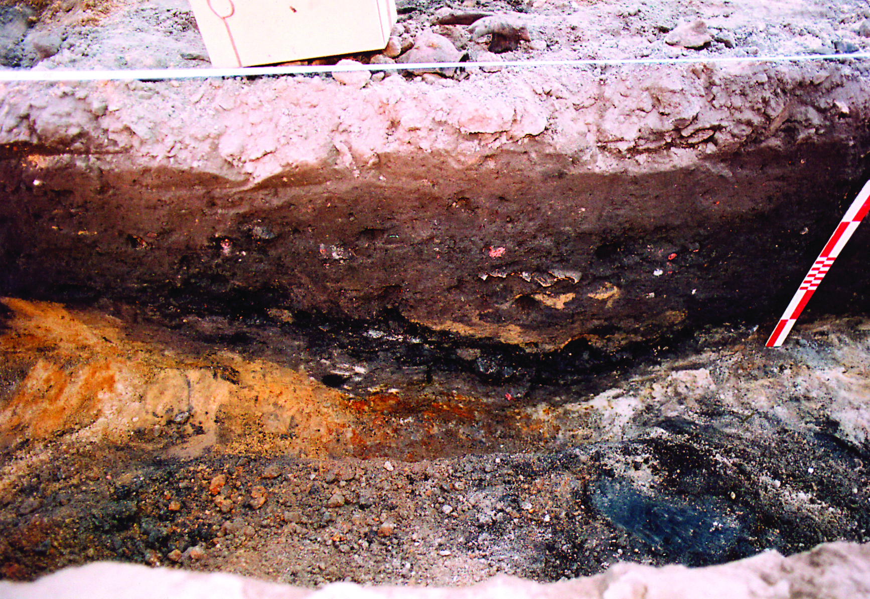 Początki osady przygrodowej w Gieczu (stan. 3) w świetle materiałów archeologicznych Rycina 14 Giecz, stan. 3. Obiekt 1/06 profil wschodni obiektu (fot. T.