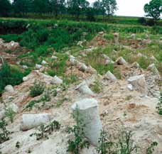 Geotechnika Świat Ryc. 7. Wzmacnianie podłoża metodą mikrowybuchów, źródło: Polbud-Pomorze Sp. z o.o. pierwotnej struktury gruntu i jego przemieszczenie, powodujące bardziej ścisłe ułożenie ziaren oraz zagęszczenie gruntu.