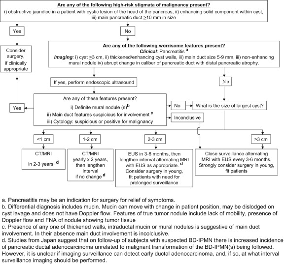 International consensus guidelines 2012 for the management of IPMN