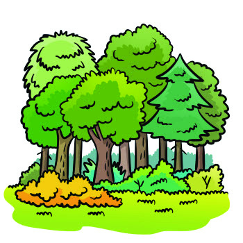 6 Obozy w Oćwiece Lato 2015 Informacje o obozach zawiera również folder z kartą zgłoszeniową dostępny na stronach www.kech.bydgoszcz.pl i www.camp-eden.pl. Obóz seniorski 15.06.-23.06.2015 r.