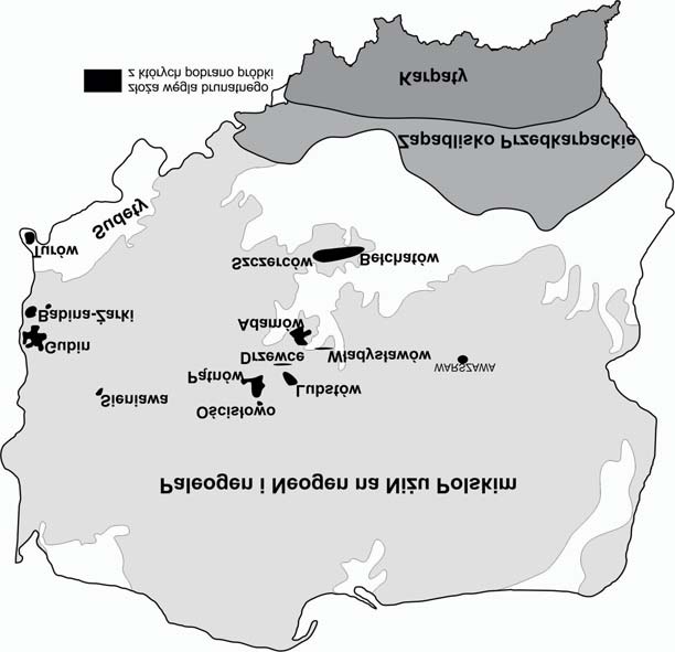 49 1. Metodyka badañ W badaniach zosta³y u yte próbki miêkkiego wêgla brunatnego ze z³ó aktualnie eksploatowanych, perspektywicznych i zaniechanych.