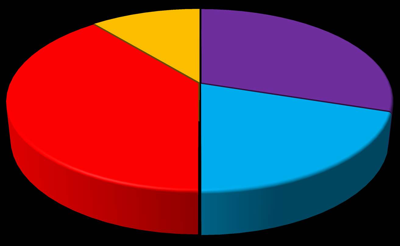 BUDŻET 2015 POZOSTAŁE; 11 % MON; 30 % DZIAŁALNOŚĆ N-B; 39 % MNiSW; 20 % Dotacje