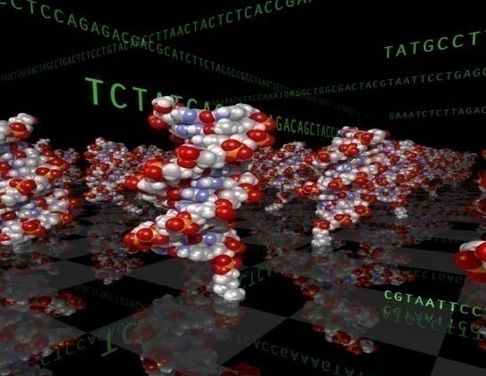 KLUCZOWE TECHNOLOGIE W SYSTEMACH BEZPIECZEŃSTWA Technologie biomedyczne 1. Bio- nano- materiały 2. Nanorurki z proteinami 3. Biopolimery 4.