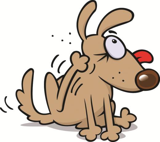 Zamówienie NIP... Data zamówienia... Data realizacji Dane Faktury..... Forma płatności: gotówka\pobranie przelew Adres dostawy.