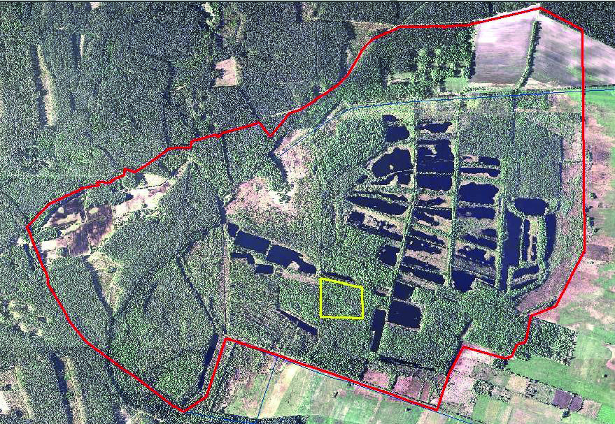 Czyż, P., Kowalik, A., Rutkowski, P. (2016). Application of Landsat satellite images for research on changes of vegetation conditions Fig. 1.