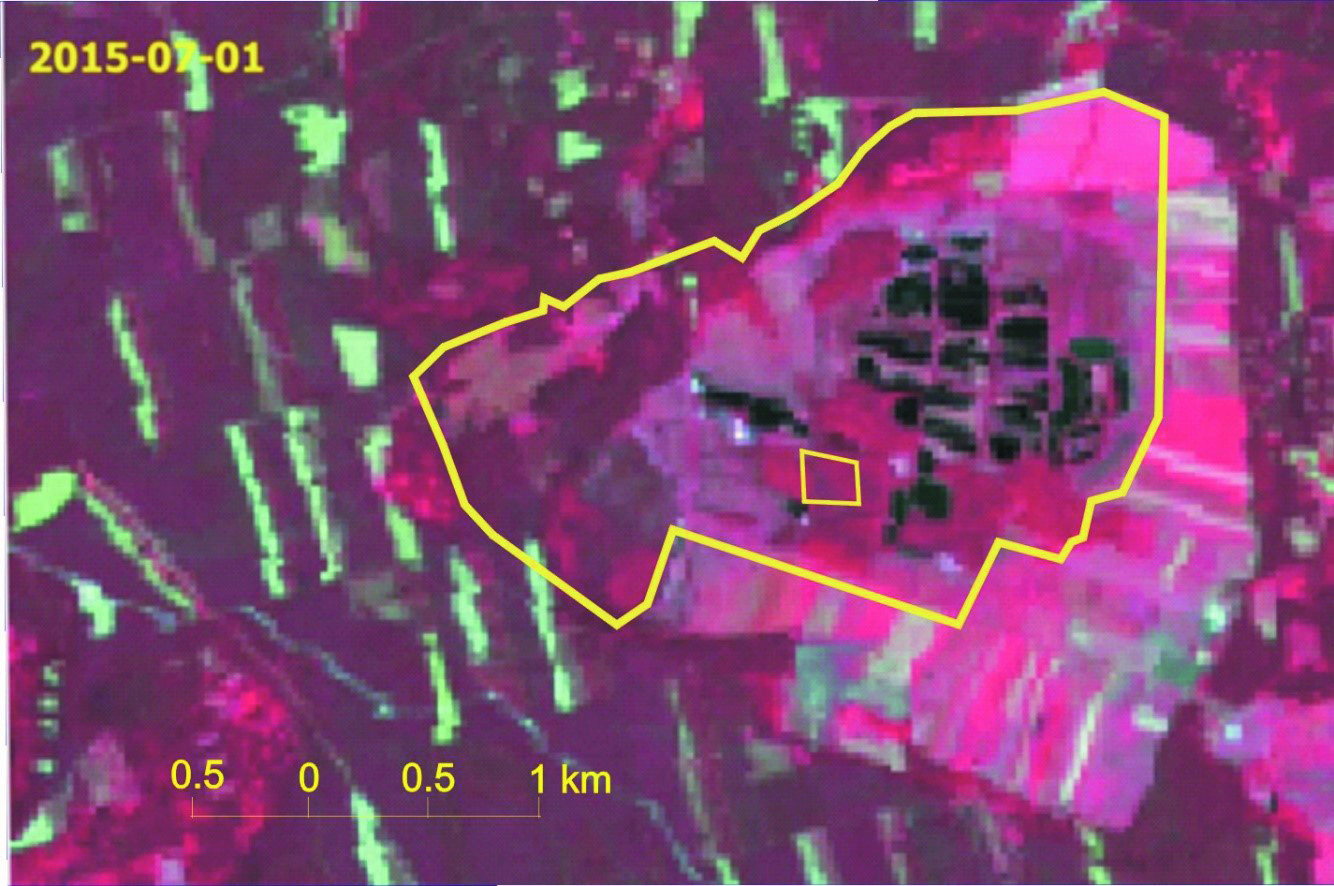 Czyż, P., Kowalik, A., Rutkowski, P. (2016). Application of Landsat satellite images for research on changes of vegetation conditions Fig. 8.