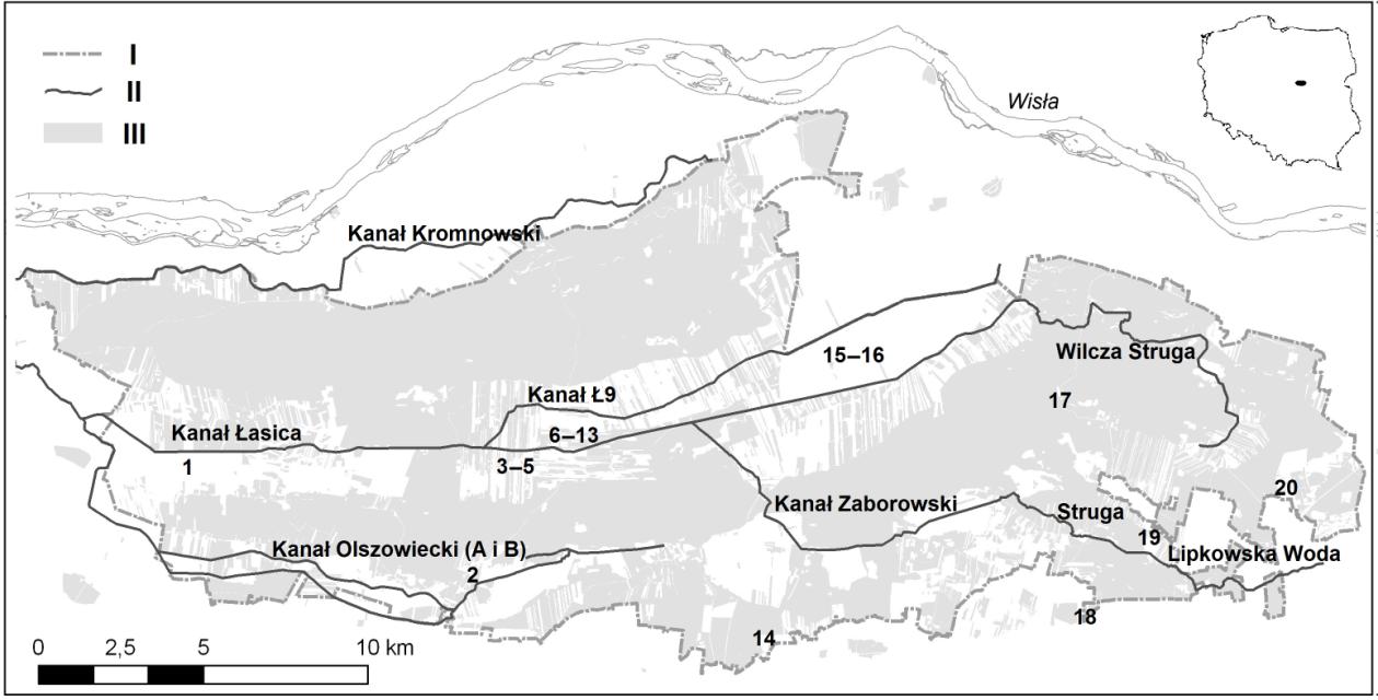 centralną część Kotliny Warszawskiej mezoregionu wchodzącego w skład Niziny Środkowomazowieckiej (KONDRACKI 2000).