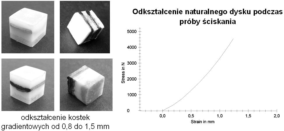 12 J. Chłopek Rys. 23. Rozkład naprężeń i odkształceń w kompozycie z gradientem modułu Younga Fig. 23. Stress and strain distribution in composite with Young modulus gradient Rys. 2. Podejście biomimetyczne - dopasowanie charakterystyki mechanicznej dysku naturalnego do syntetycznych kostek gradientowych Fig.