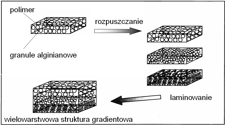Schemat otrzymywania kompozytu z gradientem porowatości Fig. 25.