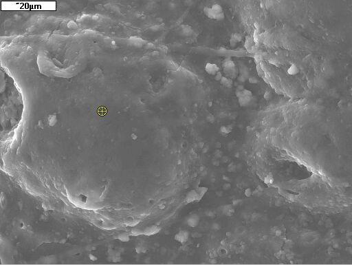 pg/ml ng/ml ph Wytrzymałość na rozciaganie [MPa] Biomateriały kompozytowe 15 12 1 PGLA PGLA+CF PGLA+HAP PGLA+CNT PGLA+PAN/HAP Fig. 31.