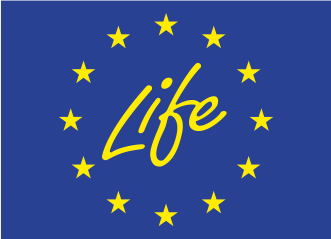 Wysokie torfowiska bałtyckie w Polsce PROGRAM OCHRONY wersja 2.