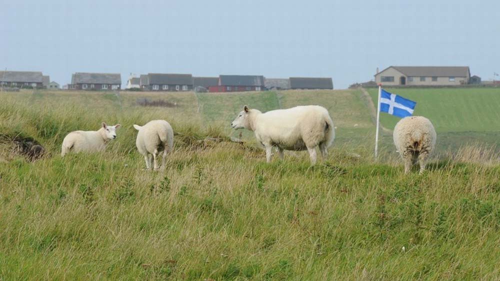 www.zeglujmyrazem.com 10 fot. Krzysztof Grubecki Kolejnym portem był Lerwick na Szetlandach.