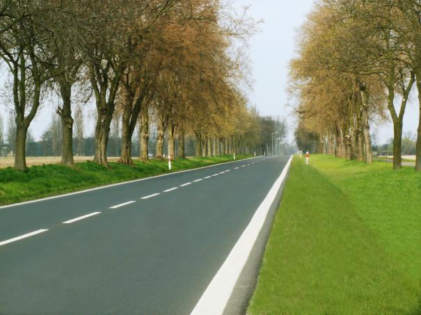 2013 RAPORT O STANIE MIASTA I GMINY SZAMOTUŁY Rozbudowana infrastruktura techniczna (nowoczesne składowisko odpadów stałych, mechaniczno-biologiczna oczyszczalnia ścieków, dobrze rozwinięta sieć