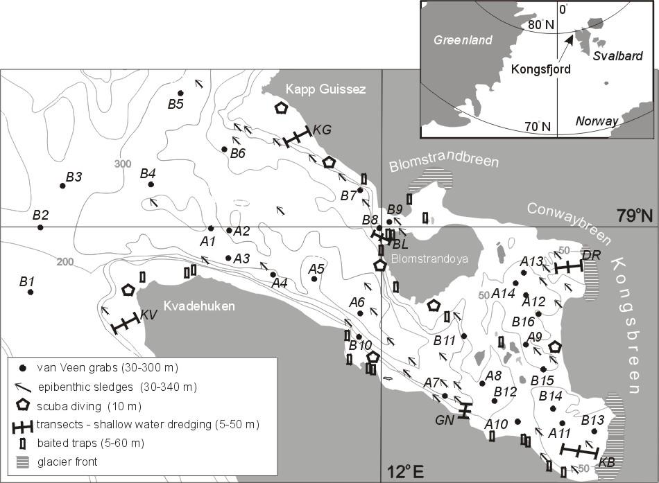 Inwentaryzacja bogactwa gatunkowego Mollusca w fiordzie Kongfsjorden materiał: - zbierany 1996r-2000r - 197 prób -czerpacz van-veen a, draga, pobór