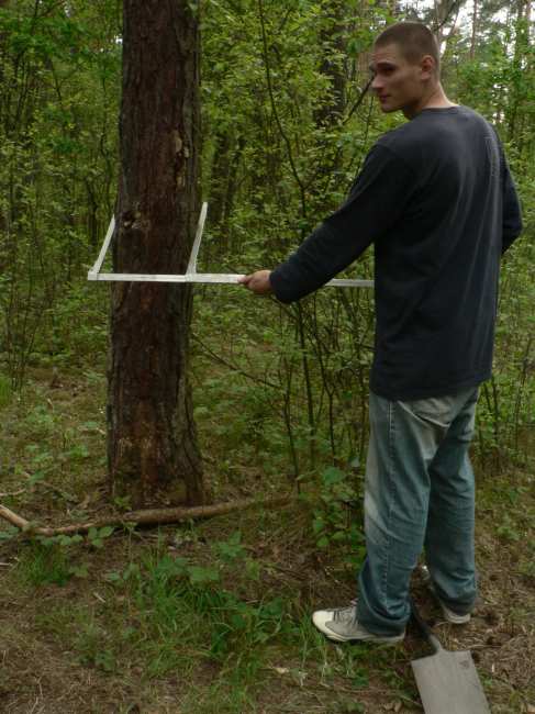 Produkcja pierwotna nadziemna: drzewa W terenie: dendrometryczne pomiary drzew W laboratorium: obliczenie