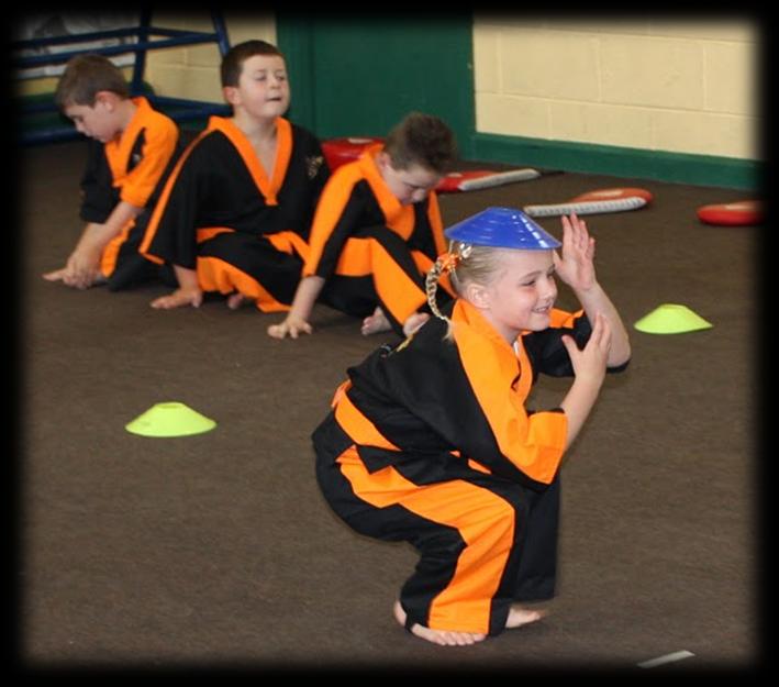 TKD Tigers Ltd