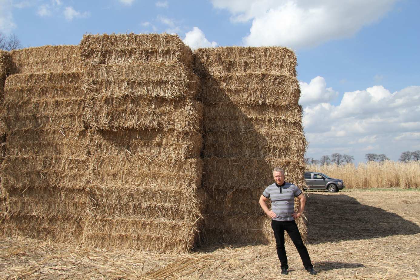 Uprawy Biomass Energy Project S.A.