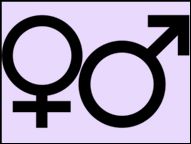 ABC gender dla nauczycieli realizujących zajęcia w
