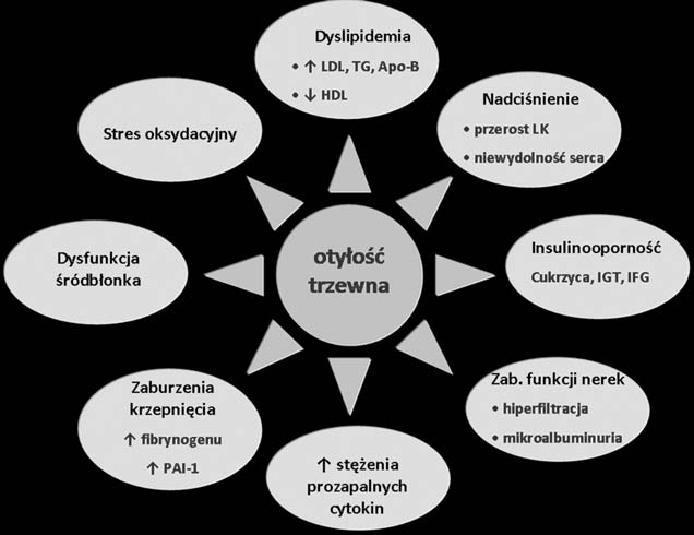 T. Miazgowski Otyłość a cukrzyca 465 Rycina 2.