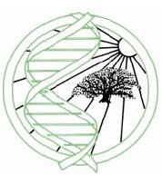 Uniwersytet Warmińsko Mazurski w Olsztynie Wydział Biologii Kierunek Biologia Numer indeksu 20096 Andrzej Markiewicz Chruściki (Trichoptera) rekultywowanego