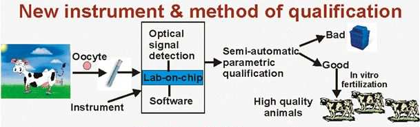 Diagnostic instrument for