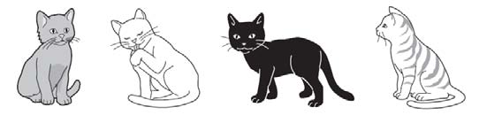 Zadanie 13. Pan Adam ma cztery koty. Jaki procent kotów pana Adama stanowi kot czarny? Zaznacz poprawną odpowiedź. A. 40% B. 30% C. 25% D. 1% Zadanie 14. Rano termometr wskazywał 3 C.