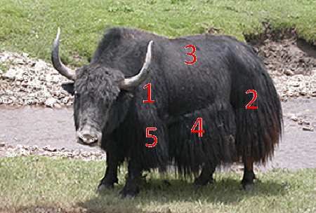 Wiadomości Zootechniczne, R.