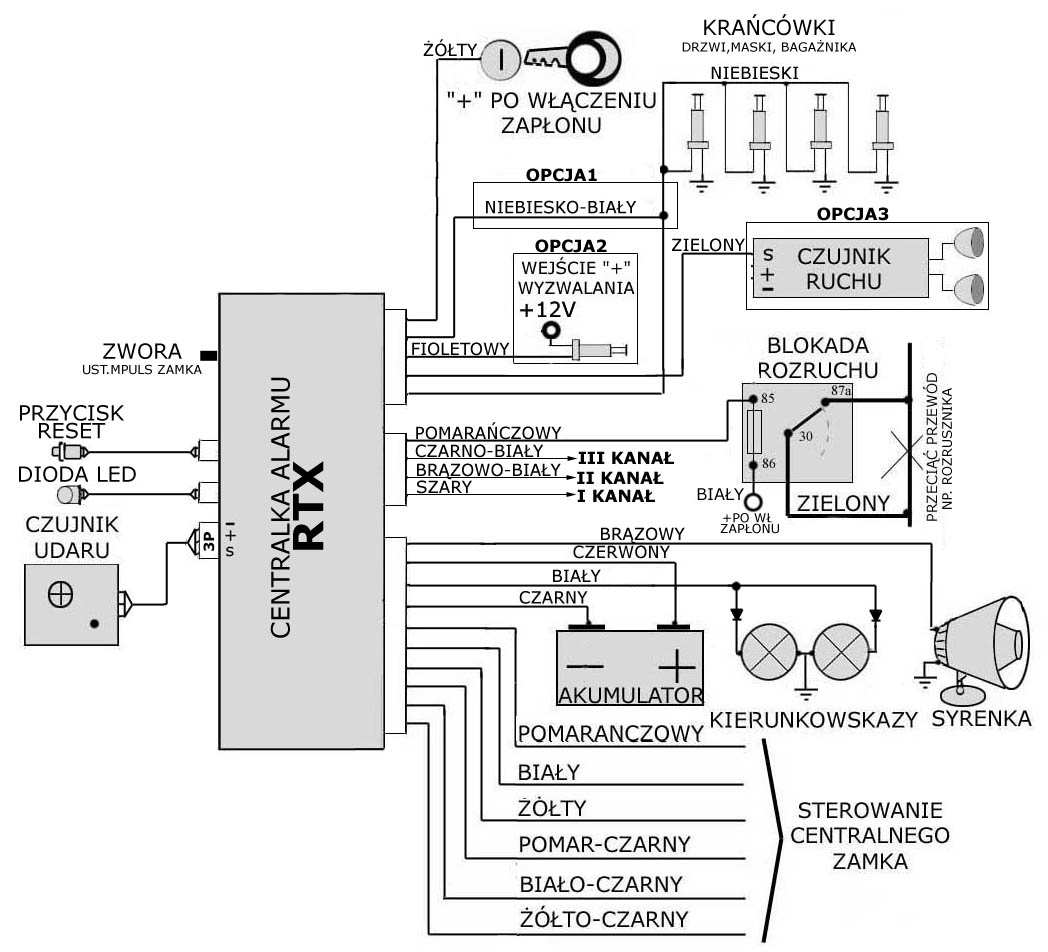 V. SCHEMAT