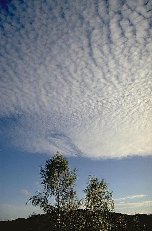 Altocumulus statiformis źródło: www.chmury.