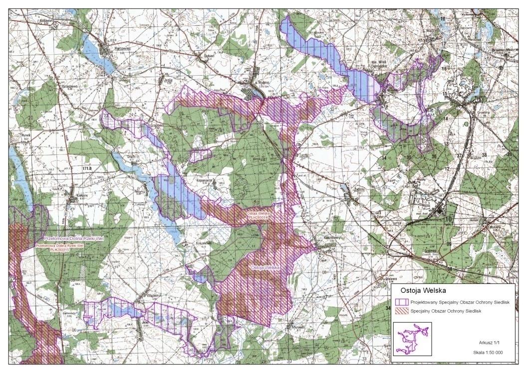 na których zarzucono użytkowanie. Rzeka meandrując, płynie przez częściowo przesuszone torfowiska, w dużej części porośnięte lasem i zaroślami.