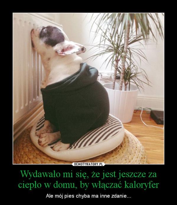 Ciepło sieciowe w budynkach