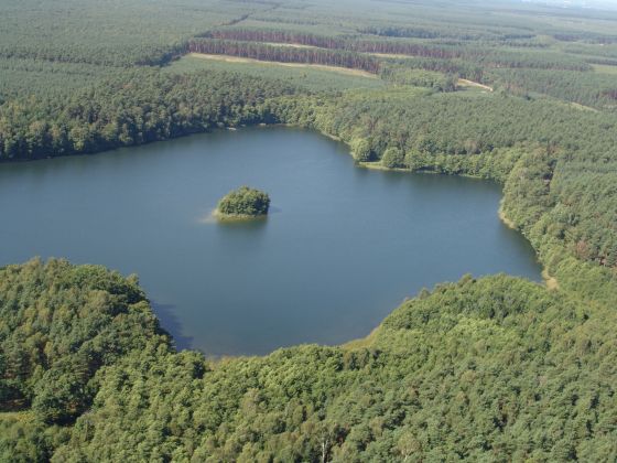 Ścieżka edukacyjna Bobrowym Szlakiem Na zagospodarowanym obszarze znajdują się urządzenia do gier i zabaw o tematyce leśnej oraz infrastruktura w postaci ław, wiat, wigwamów i wieża widokowa.