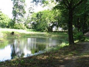 Park podworski w Ryzowiu, Park podworski w Wolentalu. Rysunek 10 Park w Mirycach (źródło: http://gminaskorcz.pl/) Przez gminę przebiegają szlaki turystyczne: pieszy wzdłuż jez.