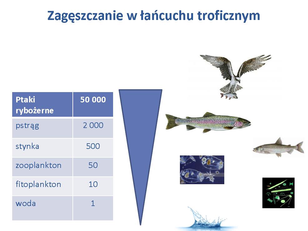 Posyniak,
