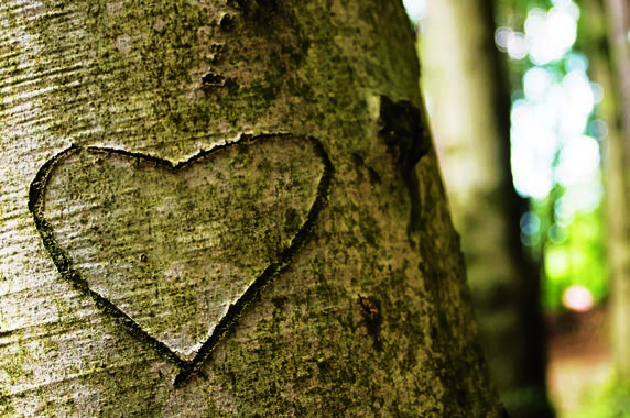 O nas KORA Ochrona drewna Najwyższa jakość Szeroki asortyment produktów Indywidualne doradztwo KORA to Kurt Obermeier Raumland i ponad 60 lat doświadczeń w ochronie drewna.