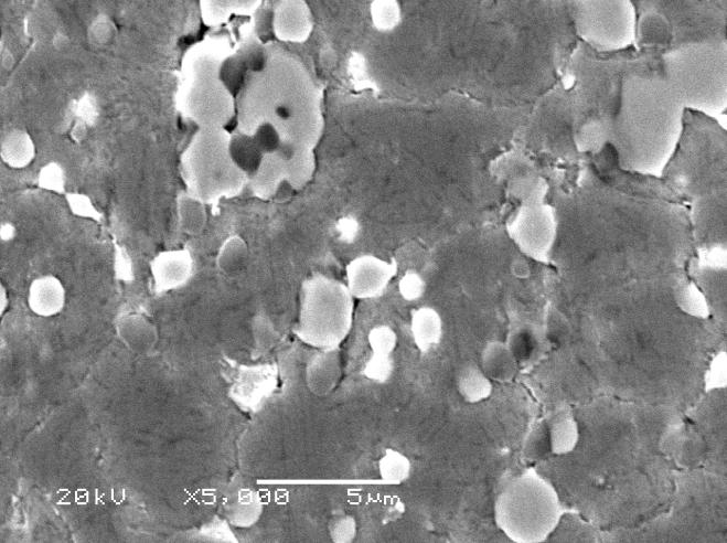 Rys. 5. Mikrostruktura stali SW7M, mikroskop elektronowy, zgład poprzeczny trawiony nitalem. Fig. 5. Microstructure of HS6-5-2 steel, SE microscope.