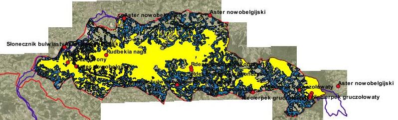 Ekspansja gatunków