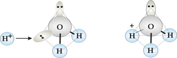 Autodysocjacja wody, cd. Jon hydroniowy ation wodorowy hydratyzowany jedną cząsteczą wody.