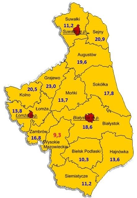 1. Informacje o stanie bezrobocia 1.1 Poziom i stopa bezrobocia. Najczęściej stosowanym miernikiem poziomu bezrobocia jest stopa bezrobocia.