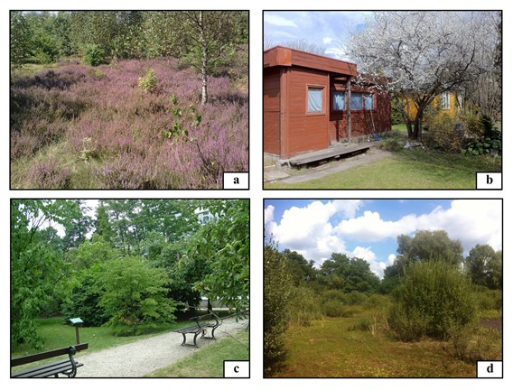 4. Ogród Botaniczny 2 51 o 45 16.96 N, 19 o 24 30.74 E. Zaplecze Ogrodu, teren trawiasty, na którym gromadzony jest kompost wytwarzany na przyległych pryzmach. 5. Ogród Botaniczny 3 51 o 45 24.
