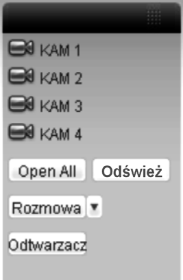 DOSTĘP PRZEZ PRZEGLĄDARKĘ IE 7.2.1 Podgląd bieżącego obrazu W sekcji 2 kliknij na nr kanału, który chcesz oglądać.