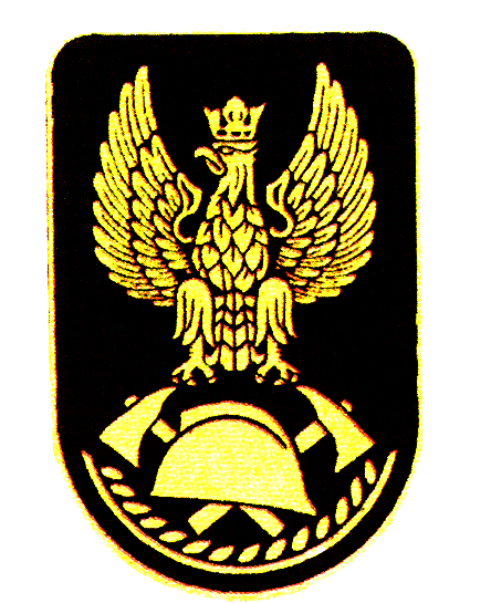 Załącznik nr 5 WZORY WIZERUNKU ORŁA wzór wizerunku orła na nakryciach głowy wzór wizerunku orła na kołnierzach kurtek mundurów i
