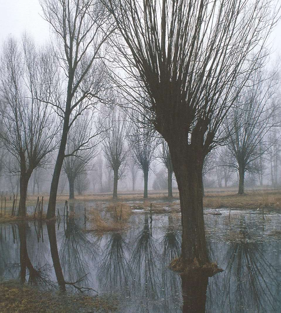 M, Dolina