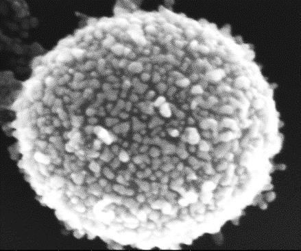 CENTRUM INŻYNIERII BIOMEDYCZNEJ 1. Bio- nano- materiały 2. Nanorurki z proteinami 3. Biopolimery 4. Sensory biomolekularne 5. Detektory grawitacji 6.